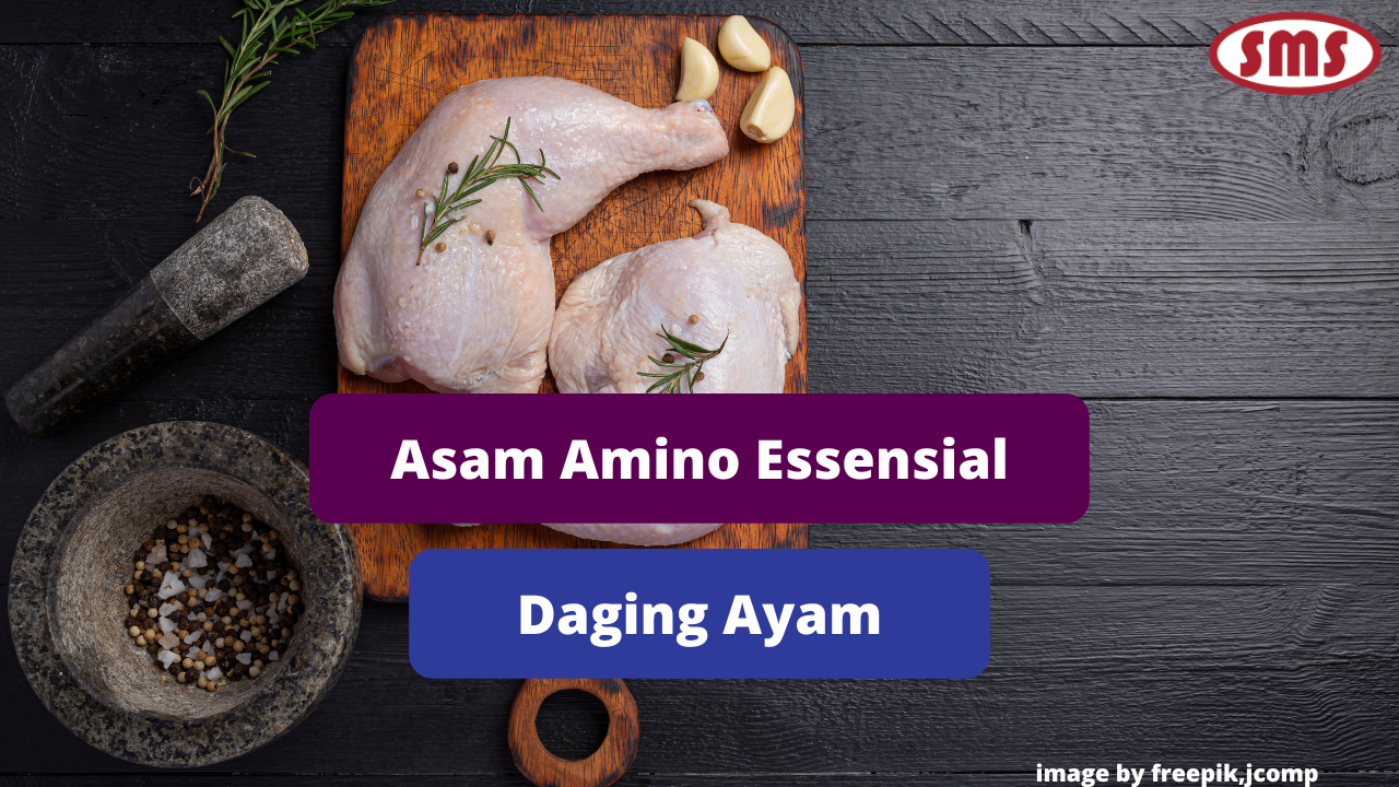 Mengenal Asam Amino Dalam Daging Ayam